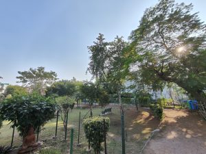 IMG20231112153107