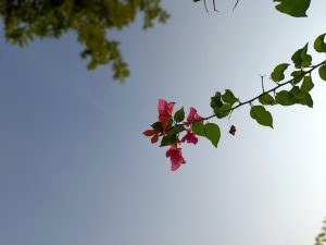 IMG_20231125_104016_677