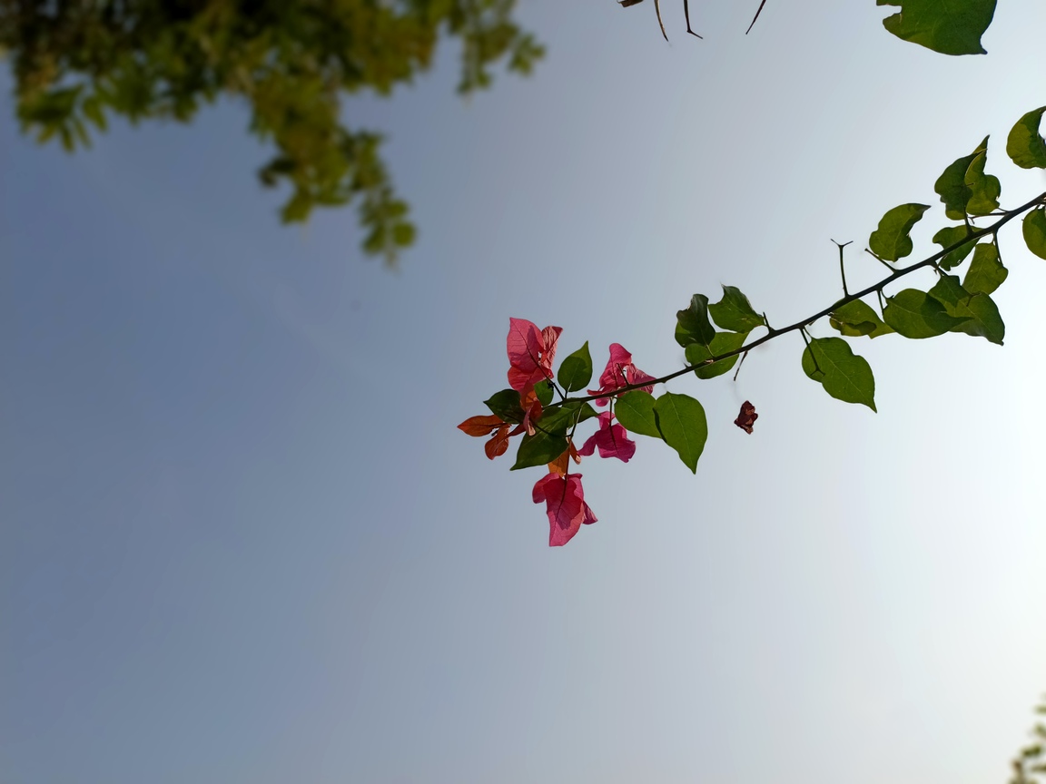 IMG_20231125_104016_677