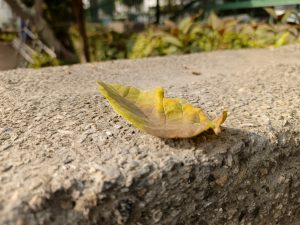 IMG_20231125_104329_035