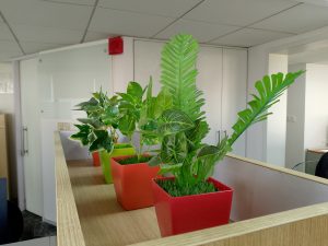 IMG_20231208_110341_449