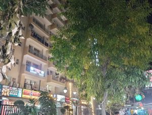 IMG_20231215_192111