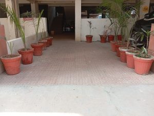 IMG_20231216_144838