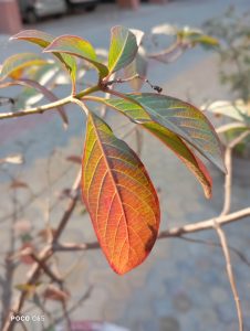 IMG_20231216_145337