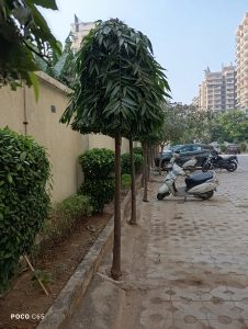 IMG_20231216_145652