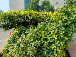 IMG_20231218_103310_002