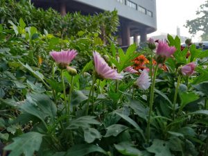 IMG_20231218_103453_764