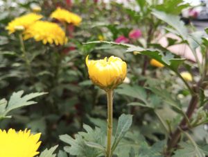 IMG_20231222_161538-scaled