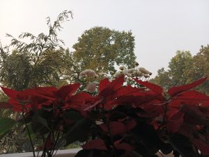 IMG_20231222_161725