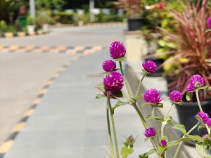 IMG20230703144145