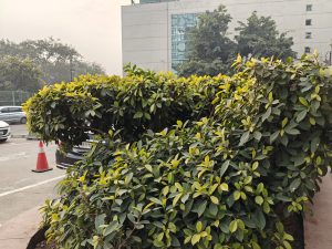 IMG20240123152637
