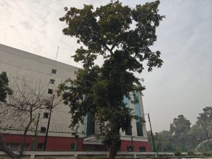 IMG20240123152708