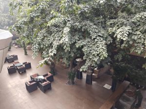 IMG20240123152950
