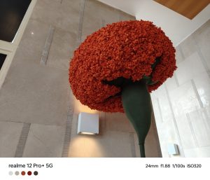 IMG20240123153316