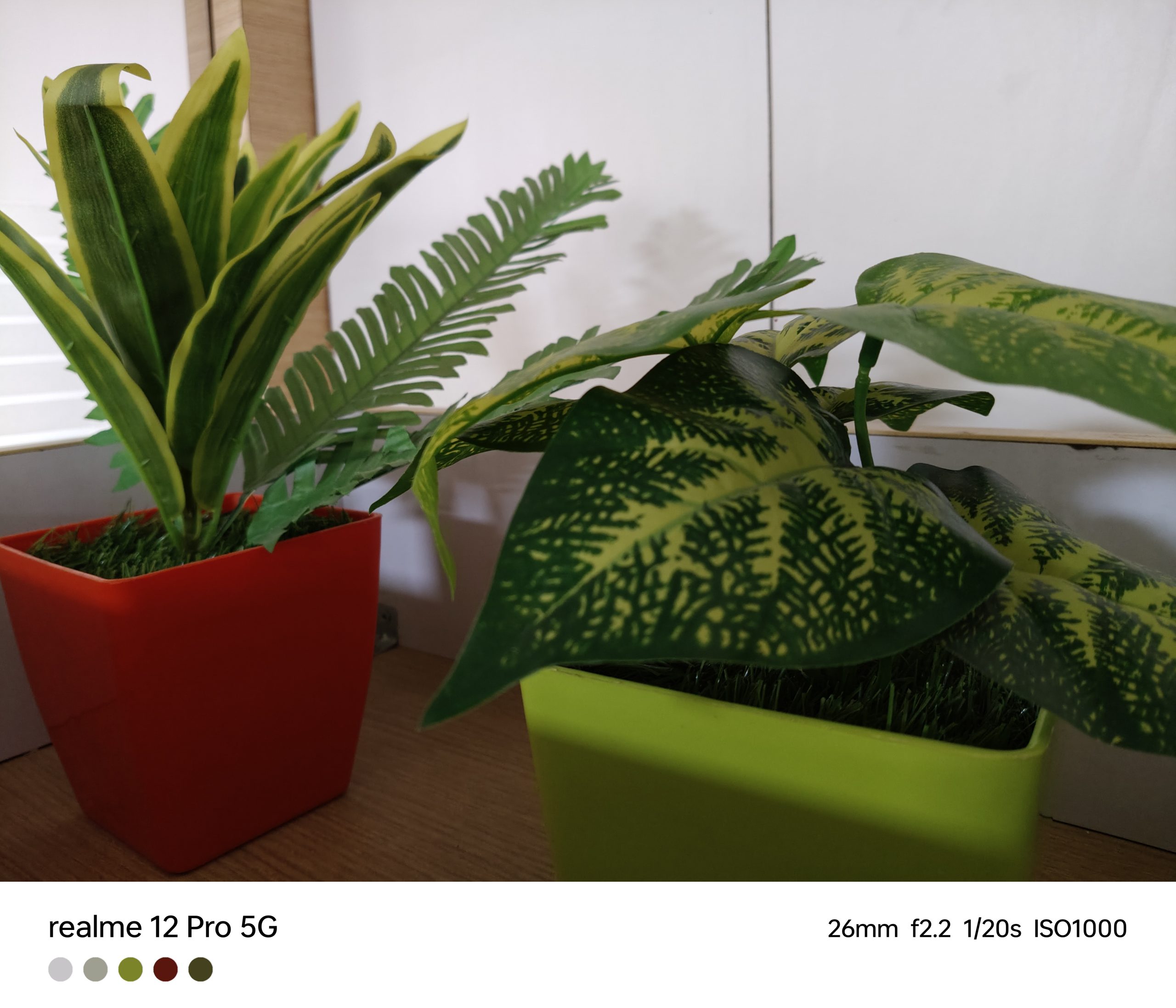 IMG20240124171524