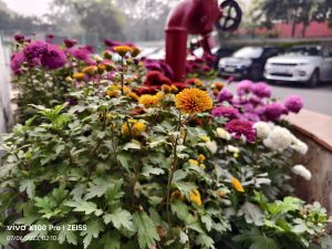 IMG_20230706_021000