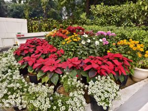 IMG_20230706_021045
