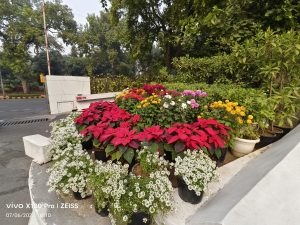 IMG_20230706_021048