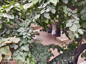 IMG_20230706_021314