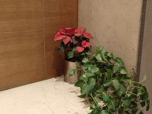 IMG20240202182203