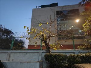 IMG20240202182247