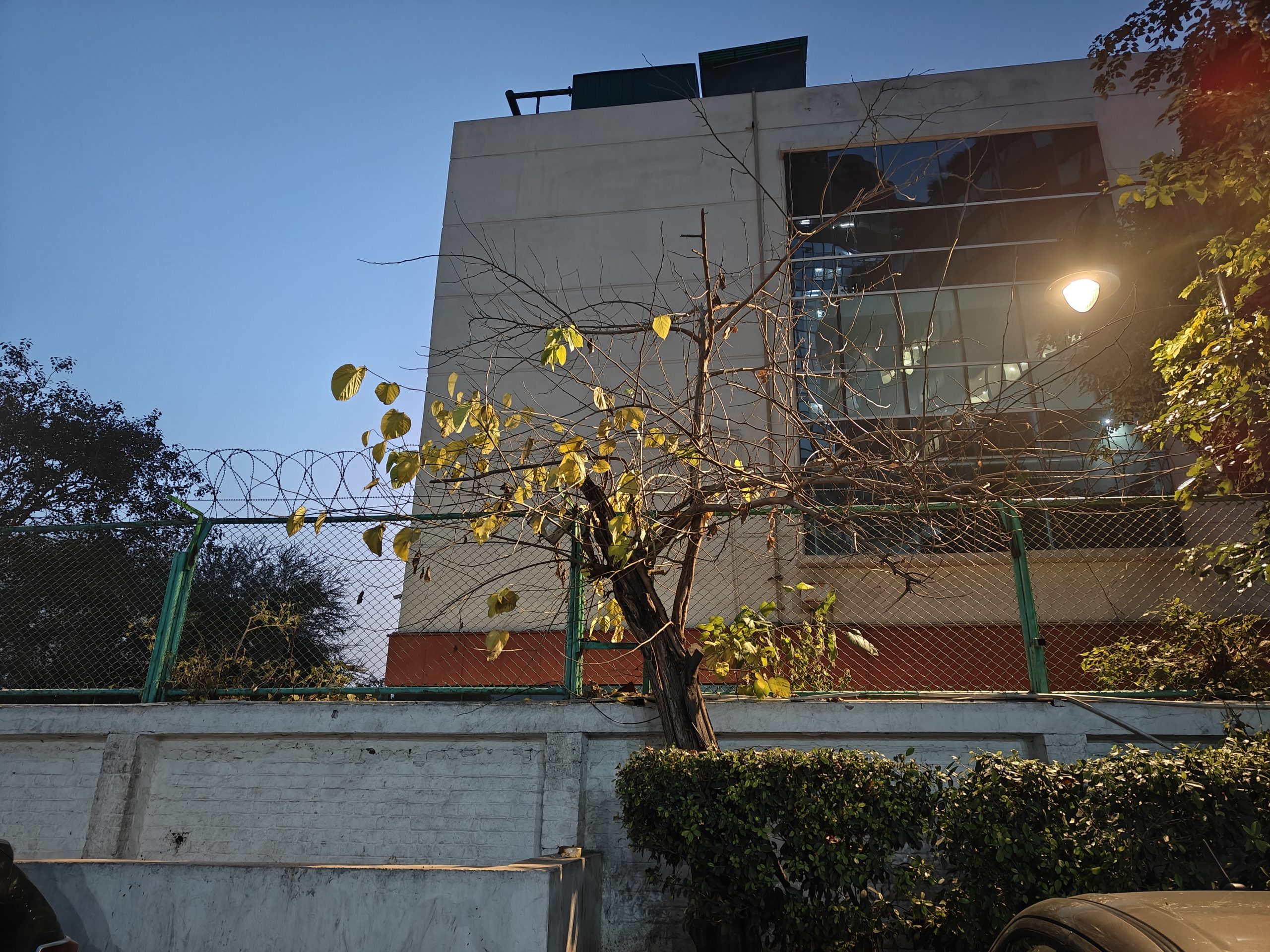 IMG20240202182247