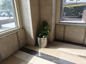 IMG20240205112243