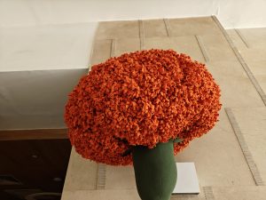 IMG20240205112257