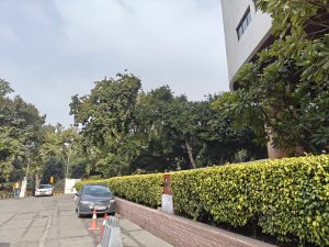 IMG20240205112342