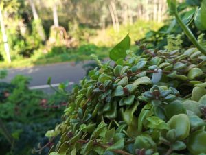IMG_20231209_081354
