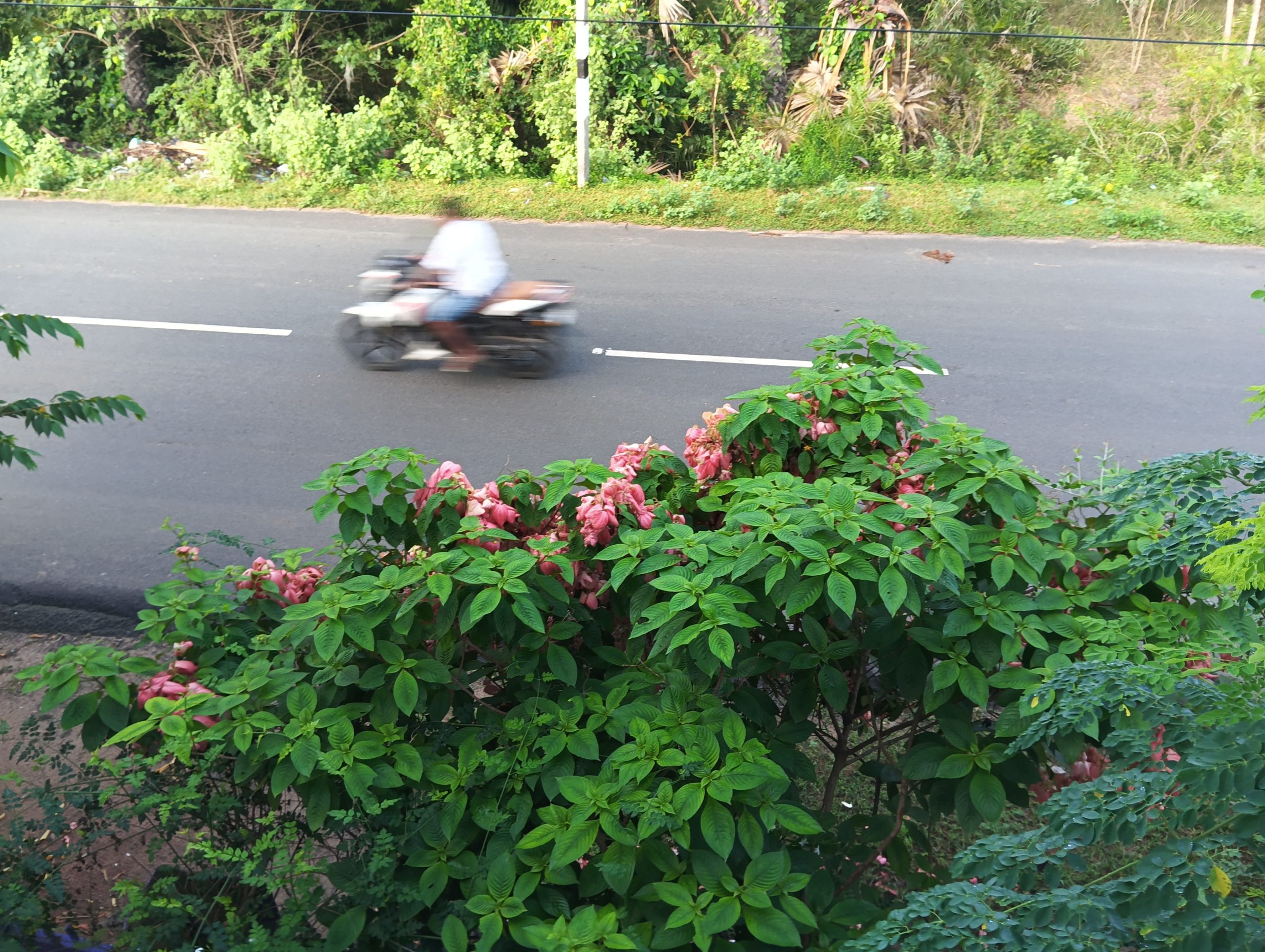 IMG_20231209_081429
