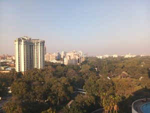 IMG_20240209_164057