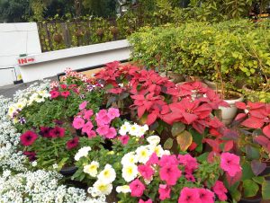IMG_20240214_165629_602