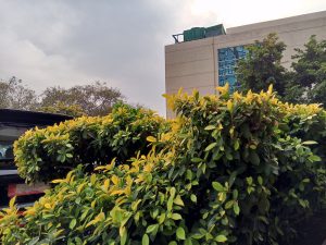 IMG_20240226_155547_185