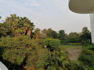 IMG20240301162938