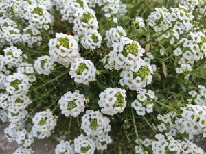 IMG_20240108_080401655_HDR