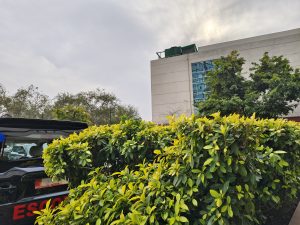 IMG_20240226_155545