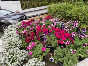IMG_20240226_155644