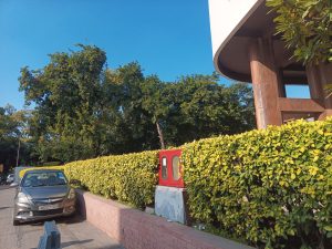 IMG_20240304_154602