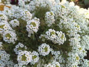 IMG_20240304_154640
