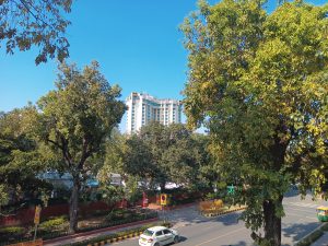 IMG_20240304_154758