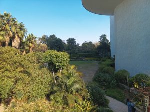 IMG_20240304_154842