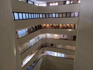 IMG_20240312_165335