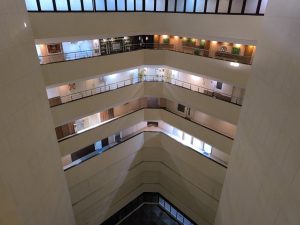 IMG_20240312_165357
