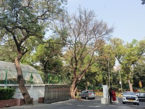 IMG_20240321_100600