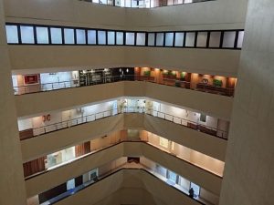 IMG_20240326_125044-Small