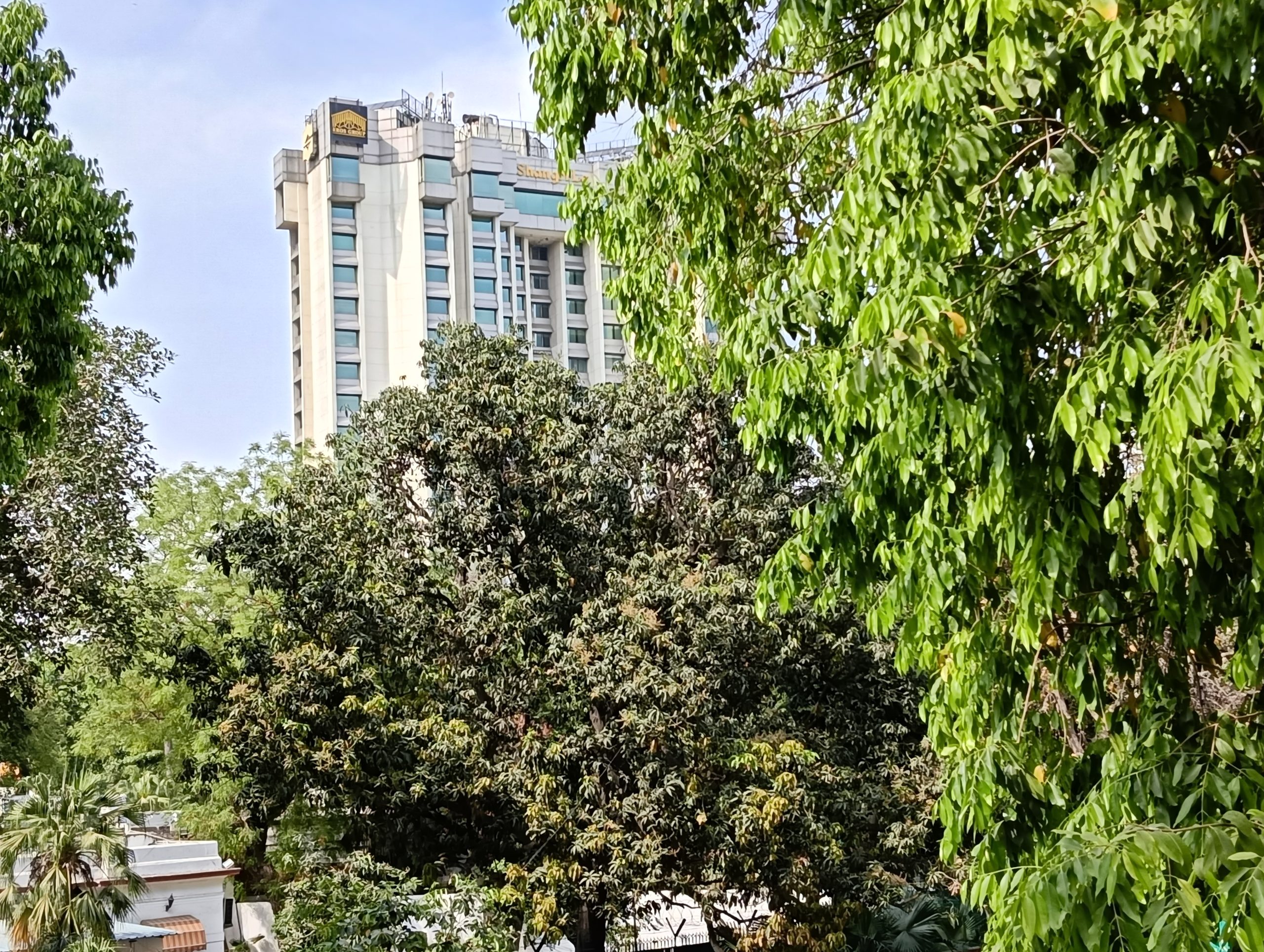 IMG20240409145844