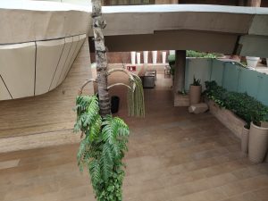 IMG20240415165210