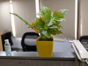 IMG20240418145119