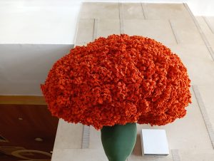 IMG20240424123911